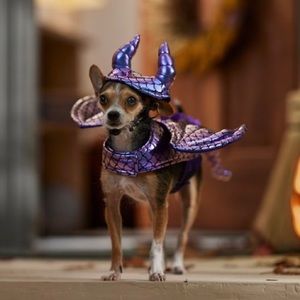 Dog & Cat Dragon Halloween Costume